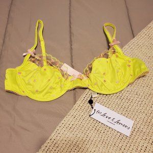 FLLxVS Wild Rose Bra